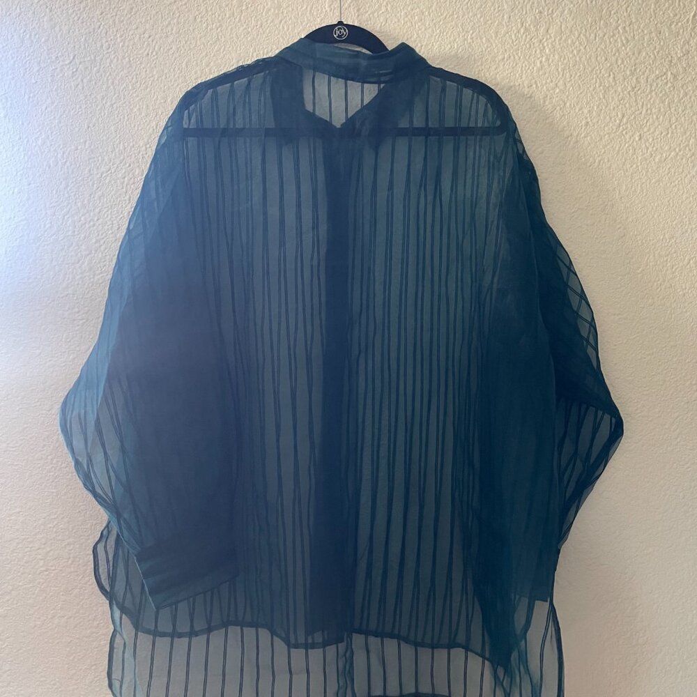 DR2 Sheer Striped Oversize Blouse - Picture 2 of 2